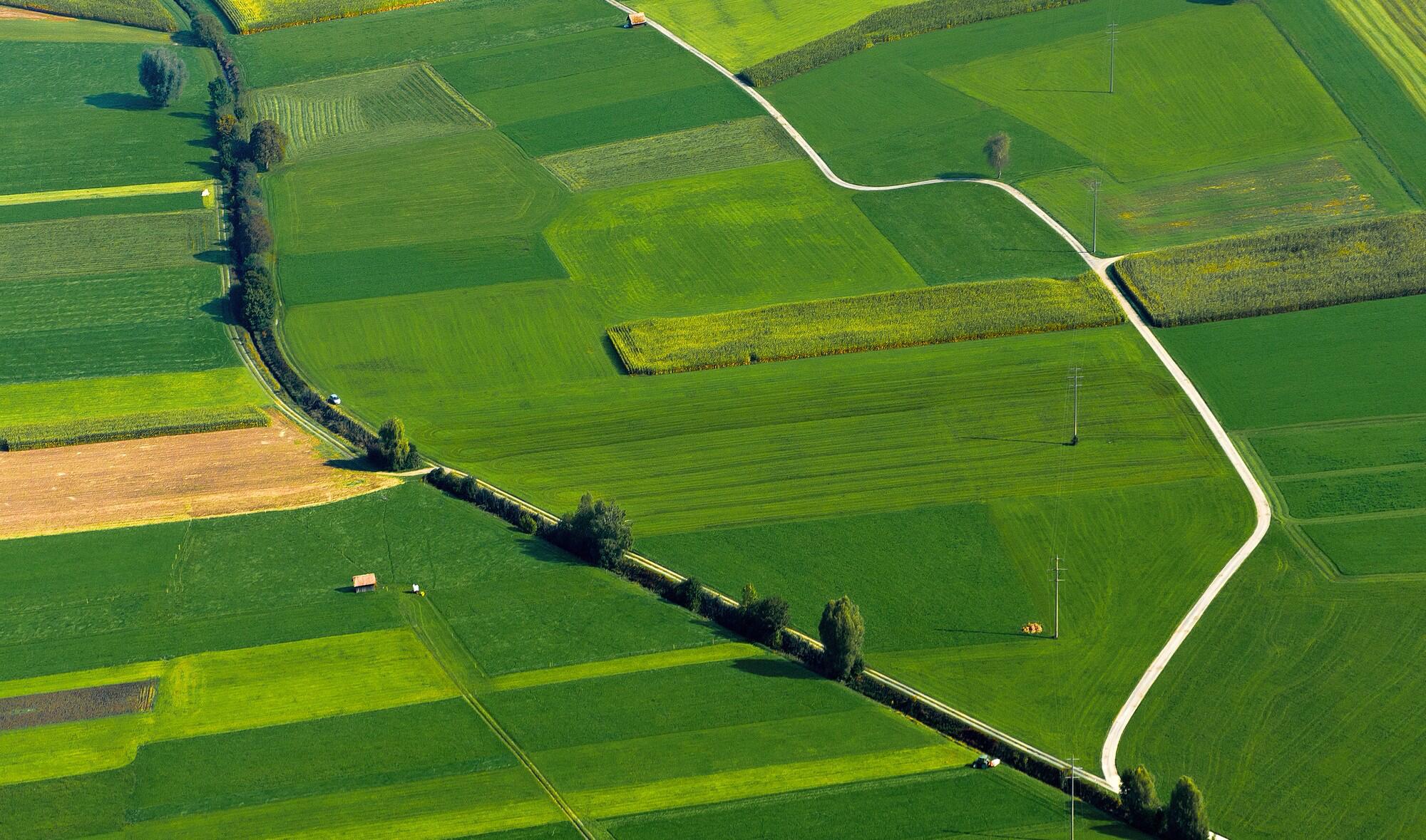 TREVISO-pro - Tecnologie resilienti di coltivazione del radicchio